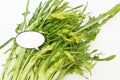 Puntarelle chicory and white label Royalty Free Stock Photo