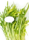 Puntarelle chicory and white label Royalty Free Stock Photo