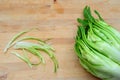 Puntarelle, tipycal Italian chicory Royalty Free Stock Photo