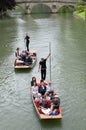 Punters on River Cam Royalty Free Stock Photo