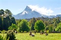 Puntiagudo Volcano, Chile Royalty Free Stock Photo