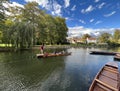 Punting in Cambridge