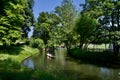 Punting on a lovely summers day near Christ Church meadow Oxford Royalty Free Stock Photo