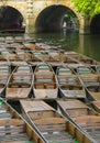 Punting in Oxford Royalty Free Stock Photo