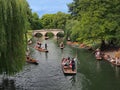 Punting on the River Cam at Cambridge University Royalty Free Stock Photo