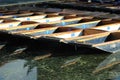 Punts at Cambridge