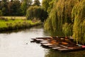 Punts at Cambridge