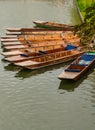 Punts moored on the bank of the river Cam, Cambridge, England