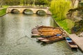 Punts moored on the bank of the river Cam, Cambridge, England Royalty Free Stock Photo