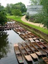 Punts on the river Royalty Free Stock Photo