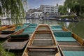 Punts on the River Cam in Cambridge Royalty Free Stock Photo