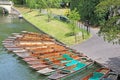 Punts on the River Cam Royalty Free Stock Photo