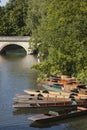 Punts on River Carn, Cambridge Royalty Free Stock Photo