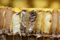 Pupa Honey Bee in bee hive. Royalty Free Stock Photo