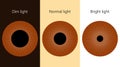 Human eye. The pupil size in different lighting.