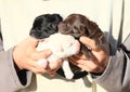 Puppies holded in kids hands