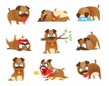 Puppy activity set. Cartoon dog set. Dogs tricks icons and action training digging dirt eating pet food jumping wiggle Royalty Free Stock Photo