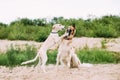 Puppy And Adult Russian Wolfhound Hunting Sighthound Russkaya Psovaya