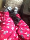 Puppy asleep on legs