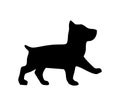 Puppy basenji. Vector black flat icon isolated on white