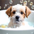 Puppy, bath and bubbly bliss for adorable cleanliness and joyful pampering.