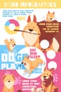 Puppy Behavior Infographics