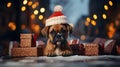 A puppy Boxer dog with Christmas gift in festively decorated room, Generative AI