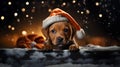 A puppy Boxer dog wearing a red Santa Claus hat, magic Christmas. Generative AI