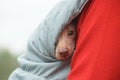 Puppy of the breed Peruvian Hairless Dog Peruvian Inca Orchid, Hairless Inca Dog, Virigo, Calato, Mexican Hairless Dog peeks out Royalty Free Stock Photo