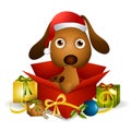 Puppy Christmas Present Royalty Free Stock Photo
