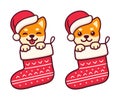 Puppy in Christmas sock Royalty Free Stock Photo