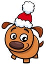 Puppy on Christmas time cartoon Royalty Free Stock Photo