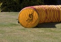 Puppy coming out of agility tunnel