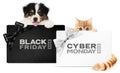 Puppy dog and cat pets together showing black and silver gift card with black friday and cyber monday text isolated on white