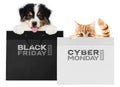 Puppy dog and cat pets together showing  black and silver shopping bags with black friday and cyber monday text isolated on white Royalty Free Stock Photo