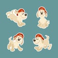 Puppy dog character design set