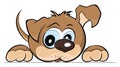 Puppy dog emblem, vector illustration