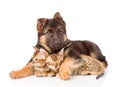 Puppy dog embracing little kittens. isolated on white background Royalty Free Stock Photo