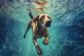 water dog fun pool puppy underwater vacation snorkeling funny swimming. Generative AI.