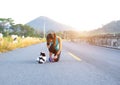 Puppy dog and young women running exercise on the street park in the morning. Young woman teaching her puppy dog obedience gesturi Royalty Free Stock Photo