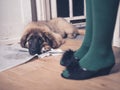 Puppy with face on pee pad Royalty Free Stock Photo