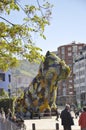 Puppy Floral Sculpture details front of Guggenheim Museum building from Bilbao city in Basque Country of Spain Royalty Free Stock Photo