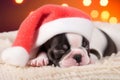 Puppy French Bulldog wearing santa hat sleeping. Christmas holiday concept. Christmas dog