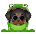 Puppy in Frog Costume Royalty Free Stock Photo