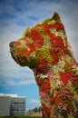 Puppy - The Giant Dog made with Flowers