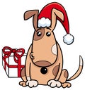 Puppy with gift on Christmas time Royalty Free Stock Photo