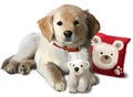 The puppy Golden Labrador and a toy polar bear