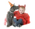 Puppy great dane and little boy Royalty Free Stock Photo