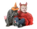 Puppy great dane and little boy Royalty Free Stock Photo