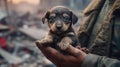 Puppy in the hands of a military man. War in Ukraine. Generative AI. Royalty Free Stock Photo